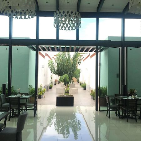 Marialicia Suites, Hotel Boutique Oaxaca Ngoại thất bức ảnh